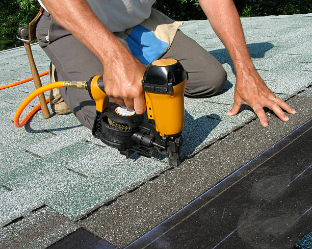 Best Roof Repair Services  in Amboy, IL