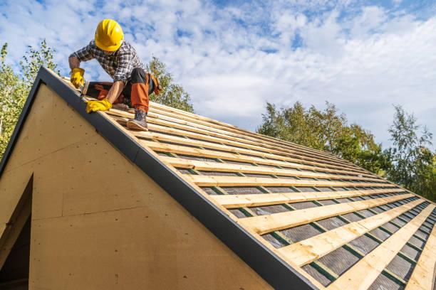 Best Commercial Roofing Services  in Amboy, IL